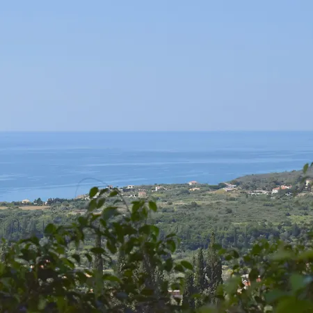Diana 4*